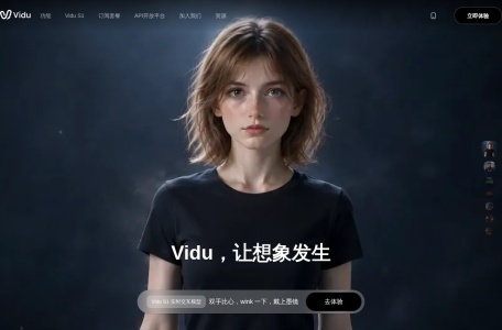 Vidu AI