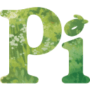 Pi